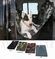 Back seat cover - Animal Gear - Zwart