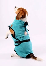 Hondenbadjas ChillCoat Classic + Pet-Towel (68x68 cm)