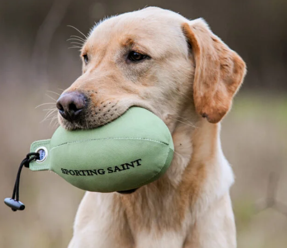 Retrieve dummy Fazant